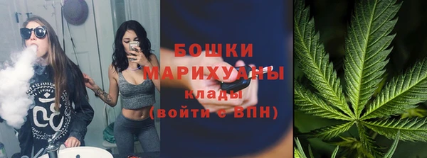 не бодяженный Ладушкин