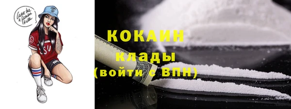 не бодяженный Ладушкин
