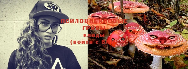 не бодяженный Ладушкин